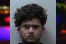 Luis Lobo Aleman — Habersham County Jail Bookings