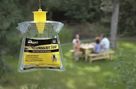 Once the sugar is dissolved, add the apple cider vinegar and shake well. 11 Best Yellow Jacket Traps Must Read Reviews For July 2021