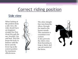 Sitting too far back will affect the weight. Ppt Importance Of The Riders Aids And Position Powerpoint Presentation Id 2568658