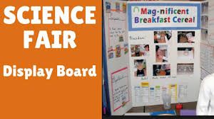 Setting Up Your Show Board For Science Fair