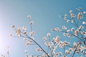 Try dragging an image to the search box. Resumeamp Headers Html Template