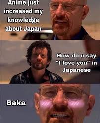 Pin By Amie Wyka On Animeme Funny Memes Memes Funny