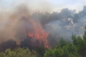 Φωτια πυροσβεστικη ελευσινα μεταφορικη εταιρεια A6dg3demwtbjcm