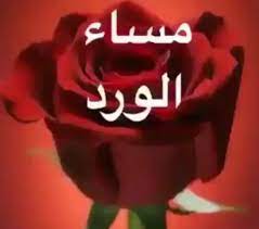 يا روعة المساء فـي طـلـة مساكم يا نـفـحـه الورد و الأشـواق نسقيها أجمل ورود المساء في كأس لقياكم أبيات شعر توصف لكــم معانيها مساء الورد Entertaining