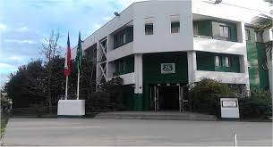 La pincoya es una sirena rubia que, según el mito, vive en los mares de la isla de chiloe en el sur de se cree que pincoya viene del quechua o del aimara en los cuales coya significa princesa. Poblacion La Pincoya Historia E Imagenes De La Poblacion Trabajo Realizado Por Michael Aravena Paul Zarate Y Ricardo Fernandez Estudiantes De Tercer Ano Medio C Del Colegio Vasco Nunez De Balboa