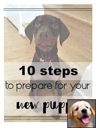 Dog Behavior Uk And Clicker Training Dog To Lay Down Dogcommands Dogtraining House Training Puppies Dog Behavior Puppy Training