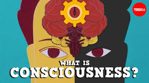 An excerpt from the thinking ape: What Is Consciousness Michael S A Graziano Youtube