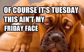 These tuesday quotes and sayings can match any mood you're having on tuesday morning whether you're grouchy or motivated after monday. Happy Funny Tuesday Quotes With Images Pictures