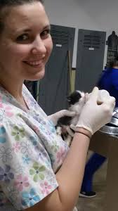 Two little cub rescued..... 🦊 💕 . From: ...Wildlife Haven This is  patients two orphaned Red Fox Kits. Both found helpless, and alone, and  admitted to the Wildlife Haven hospital just a