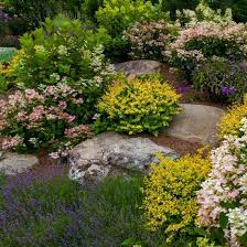 You can use the plant to decorate a specific area of the garden, or if you prefer more of a cover, a creeping variety is a great option to consider. Rocks And Plants In Rock Garden Knowlton Quebec Canada Photographic Print Art Com