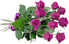 ÐÐ¾ÑÐ¾Ð¶ÐµÐµ Ð¸Ð·Ð¾Ð±ÑÐ°Ð¶ÐµÐ½Ð¸Ðµ