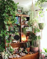 19 Indoor Garden Design Plant Decor Room With Plants Plants