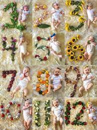 Quinn S First Birthday Dash Of Grace Baby Month By Month Monthly Baby Pictures Newborn Baby Photography