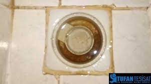 Tuvalet ve lavabolarınızdan gelen kötü kokuların sebepleri nelerdir? Tuvalet Ve Banyo Pis Kokuyor