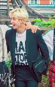 Pin By Abril Upm On Stray Kids Korean Idol Mixtape Cutie