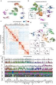Its a huge pattern and is recommended on 16 or 18 ct, you. An Atlas Of Healthy And Injured Cell States And Niches In The Human Kidney Biorxiv