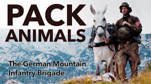 Pack Animals The German Mountain Infantry Brigade Youtube