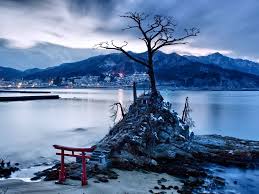 Did you know that an overwhelming majority of japanese surnames have been in existence having surnames before that period used to be exclusive only to the clergy. Shinto Shrine In Otsuchi Japan Japanese Patterns Of Design