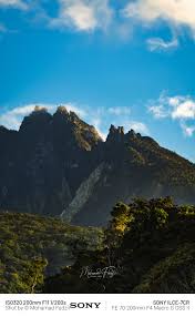 Image result for Malacca Blue 1990 Summit