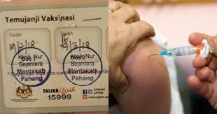 Hpv adalah penyebab utama kanser servik. Percuma Vaksin Hpv Untuk Wanita Warganegara Malaysia Yang Lahir Pada Tahun 1991 1996