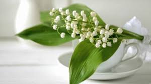 Envoyez un joli brin de muguet porte bonheur pour le 1er mai par email ou par facebook, service de cartes . Comment Envoyer Un Brin De Muguet Virtuel Pour Le 1er Mai Femme Actuelle Le Mag