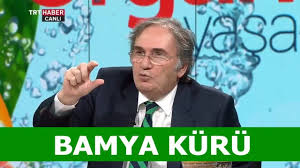 Bamya Kuru Nasil Yapilir Ibrahim Saracoglu Bamya Kurunun Faydalari Saglik Youtube Bitkisel Ilac