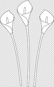 Pluto dibujos de pokemon dibujos de primavera dibujos de princesas dibujos de pucca dibujos de reyes magos dibujos de san valentin dibujos de sirenita dibujos de spiderman dibujos de tarzan dibujos de trenes dibujos de vehiculos dibujos de verano dibujos del cuerpo humano dibujos. Arum Lily Lirio De Pascua Dibujo Linea Arte Fotos De Calla Lily Tallo De La Planta Flor Lilium Png Klipartz