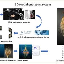 3d pest control will help you rid your home or property of these trespassers. Pdf Dirt 3d 3d Phenotyping For Maize Zea Mays Root Architecture In The Field