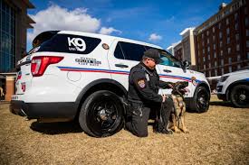 Two flexible online learning formats. M S In Criminal Justice Forensic Psychology Degree Liberty University