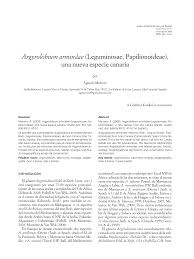 Image result for Argyrolobium fischeri