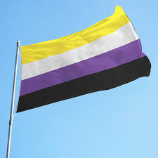 From the bisexual pride flag to the trans pride flag, here's a guide to all the different designs. Nonbinary Pride Flag Lgbtq Flags Made In Usa Ace Flag Visual Promotion