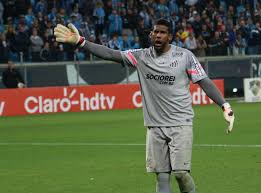 Buy the best and latest aranha goleiro on banggood.com offer the quality aranha goleiro on sale with worldwide free shipping. No Futebol Uma Sintese Do Racismo Brasileiro Outras Palavras