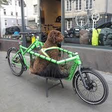 Wer Hat Dieses Cargo Bike Polizei Nrw Munster Facebook