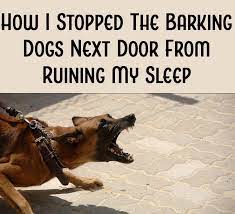 how i stopped the barking dogs next door from ruining my sleep the curious coconut dogs dog barking cute dogs and puppies