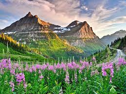 Glacier national park is located in the northern wilderness of montana, and is well worth a visit. Glacier National Park Montana Majestatische Gipfel Gletscher Und Wildtiere
