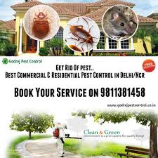 Godrej pest control offer complete range of professional pest control services at reasonable costs. Holi Offer 20 Off On All Pest Control Treatment 9811381458 Pest Control Service In Noida Sector 10 Noida Click In