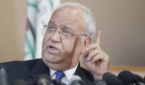 Palestinian teen shot dead by Israeli forces