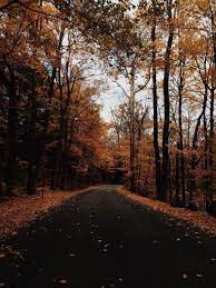 Autumn Cozy Aesthetics Autumn Cozy Autumn Aesthetic Autumn Scenery