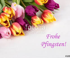Diese grußbilder kann man mit einem klick auf facebook teilen, man kann sie aber auch in einen whatsapp chat kopieren. Frohe Pfingsten Toluna