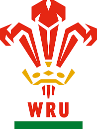 Un coloriage avec modèle en couleur pour s'amuser avec les équipes de rugby de la coupe du monde. Equipe Du Pays De Galles De Rugby A Xv Wikipedia