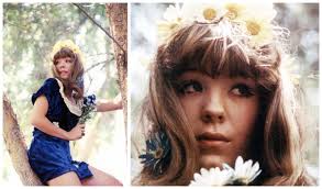 Pamela-fying my life