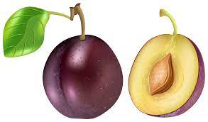 Plum Transparent Png Clip Art Image Gallery Yopriceville High Quality Images And Transparent Png Free Clipart Fruit Artwork Art Images Free Clip Art