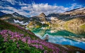 Beautiful spring wallpapers, pictures, images. Beautiful Spring Mountains Lake Flowers Water Reflection Tower Wallpaper Nature And Landscape Wallpaper Better
