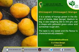 Worldwide, hundreds of mango cultivars are known, with over 1000 varieties in india. Bregbh2jf1rram