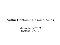 Methionine, Cysteine And Branched Chain Amino Acids | Ppt