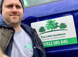 The Little Gardener