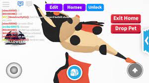 How to get a free legendary bat dragon + evil unicorn in adopt me roblox adopt me new halloween up: Getting The Bat Dragon In Adopt Me Youtube