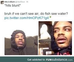 100 Funny Hits Blunt Memes Which Will Get You High Geeks On Coffee