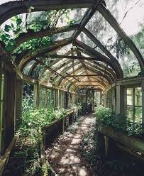 Overgrown Greenhouse Hallway Album On Imgur Dream Garden Greenhouse Garden Room