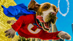 Some are even slated to launch directly on the streaming platform. Top 10 Worst Live Action Disney Films Watchmojo Com